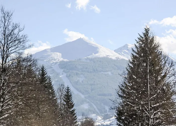 Schmuckstueck By Interhome Lägenhet Bad Hofgastein